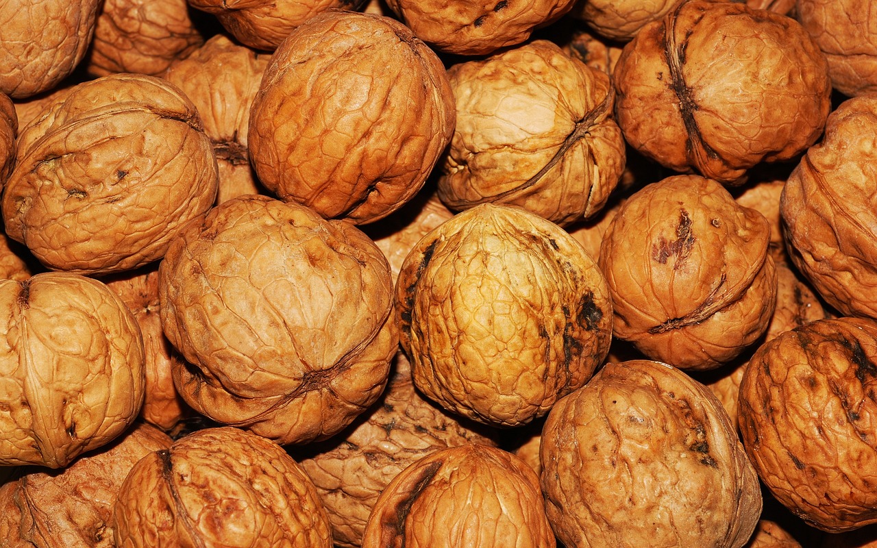 walnuts, nuts, food-101425.jpg