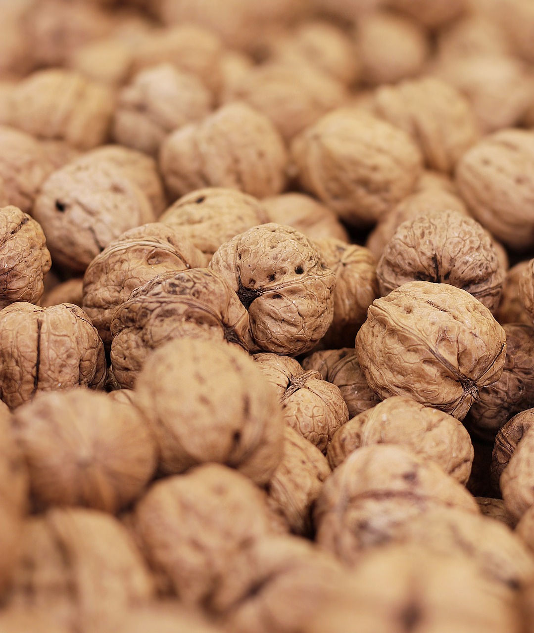 walnuts, nuts, juglans-4637402.jpg